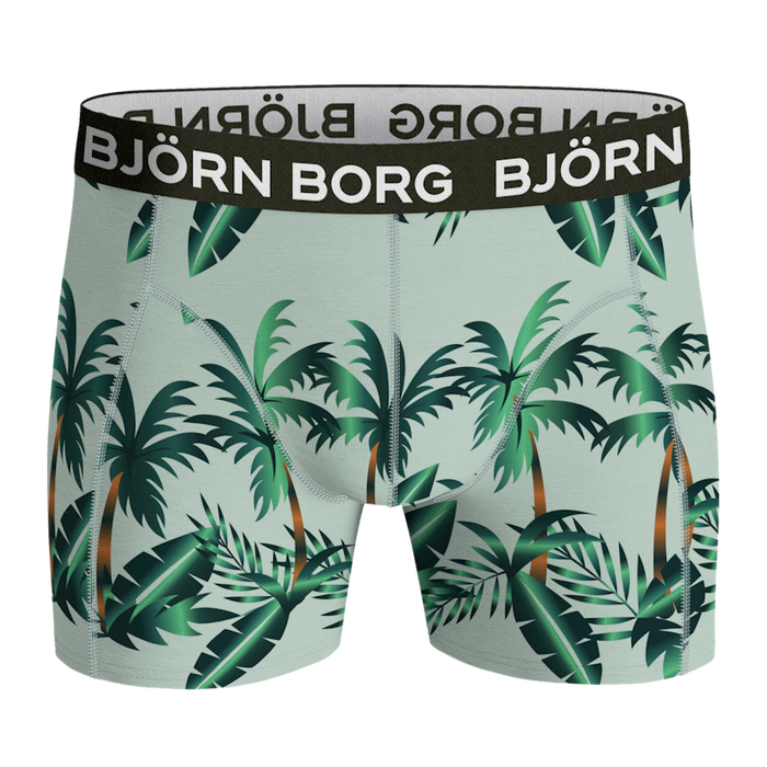 BB_10001752-MP005 (2)